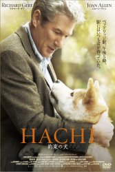 HACHI 񑩂̌