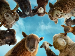 �Ђ��T��c