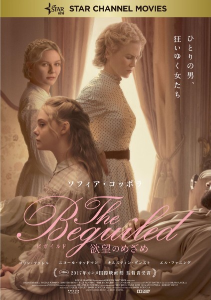 The Beguiled/rKCh  ~]̂߂