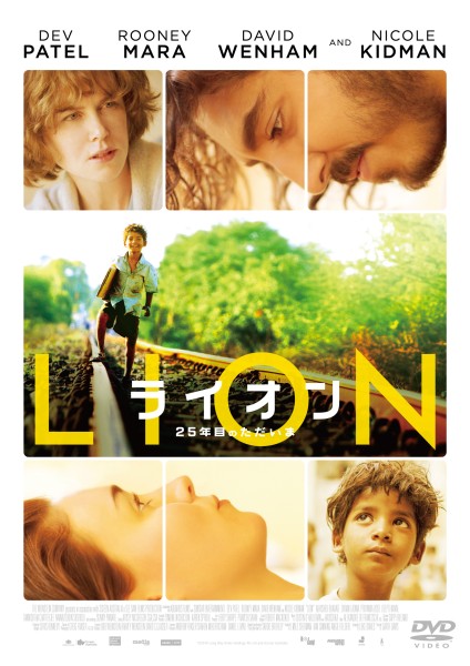 LION^CI 25Nڂ̂