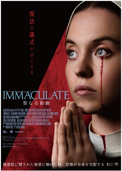 IMMACULATE  Ȃٓ
